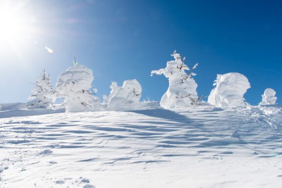 樹氷の写真。スノーモンスターという名がふさわしいですね。