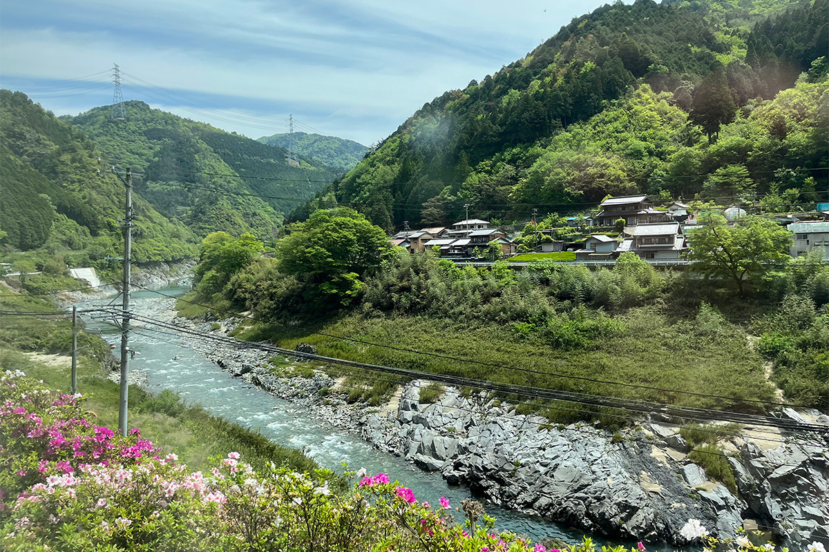 高山線の車窓の写真。川沿いの緑が美しい光景です