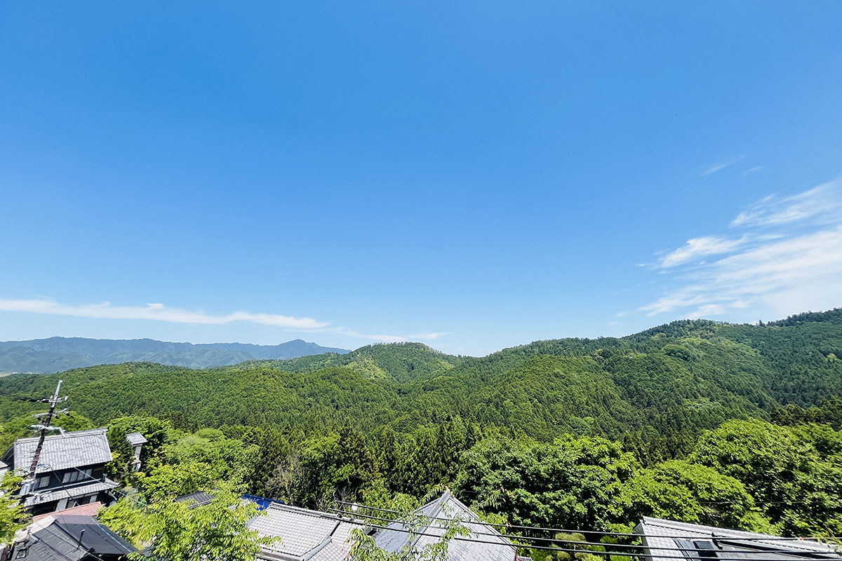 新緑の吉野